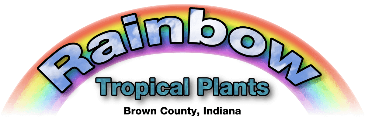 Rainbow Tropical Plants