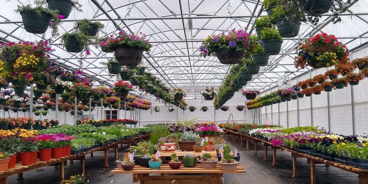 Raintree Garden Center