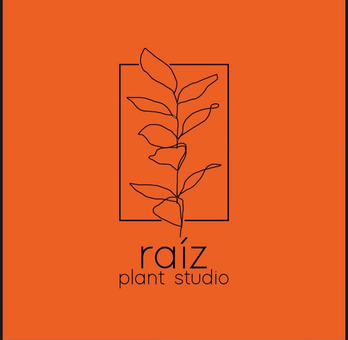 Raiz Plant Studio
