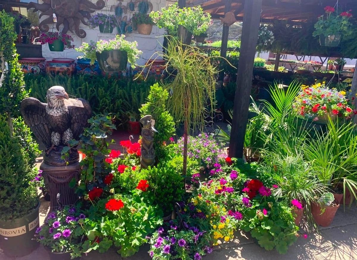Rancho Flores Lawn and Garden Center