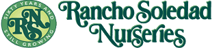 Rancho Soledad Nurseries Inc