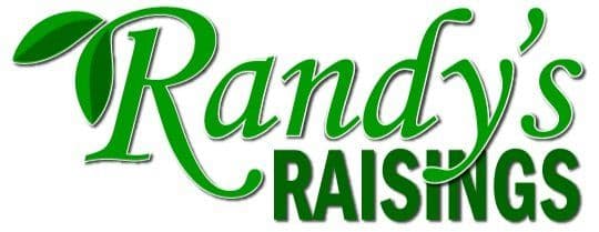 Randy's Raisings Inc