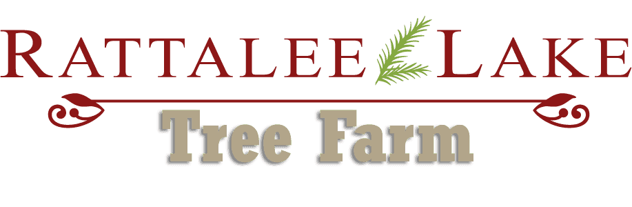 Rattalee Lake Tree Farm