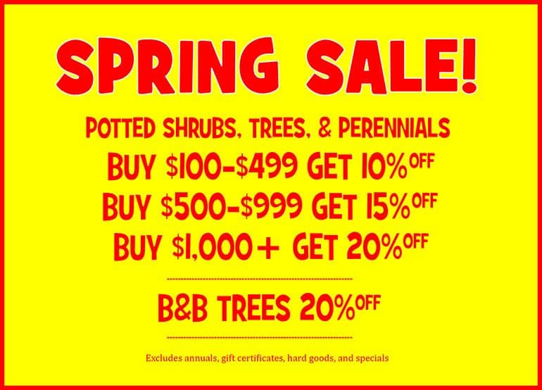Rave Landscaping & Plant Center