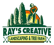 Ray's creative Landscaping & Tree Farm