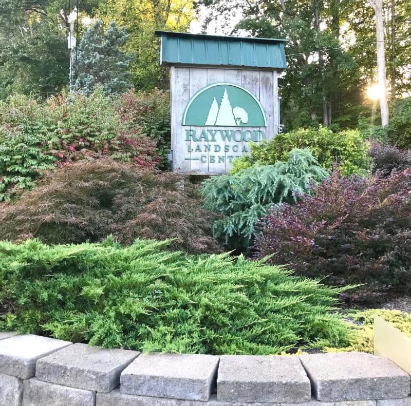 Raywood Landscape Center