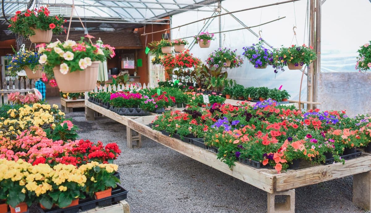 RC Sons Garden Center