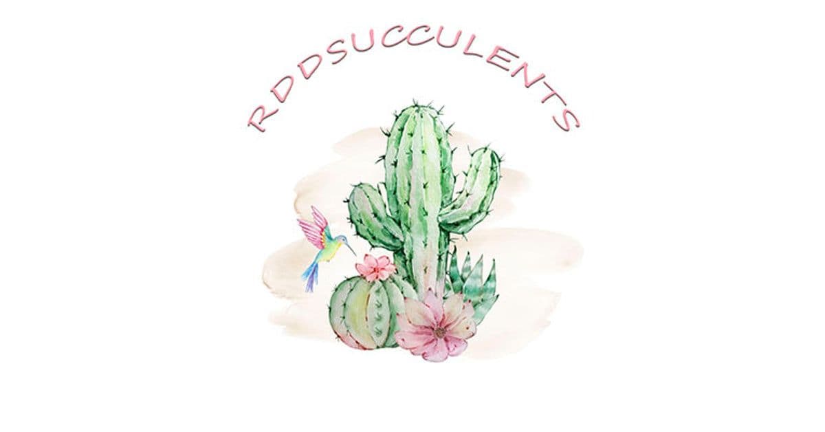 RDDsucculents