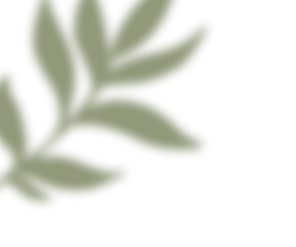 Re - Leaf Plant Market