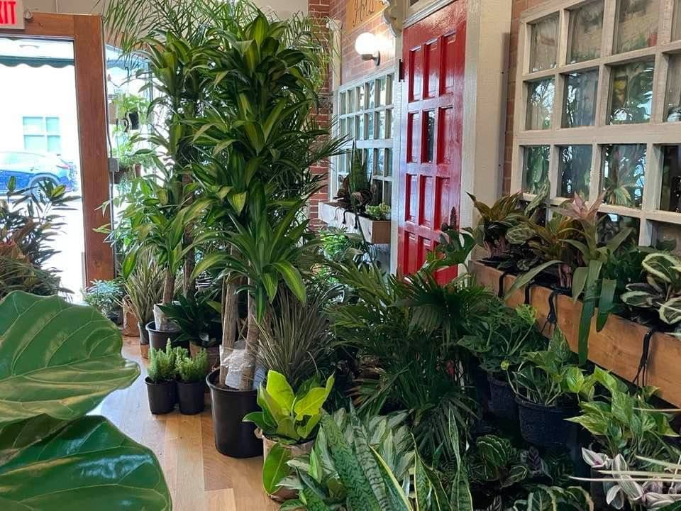 Recreational Pots and Plants