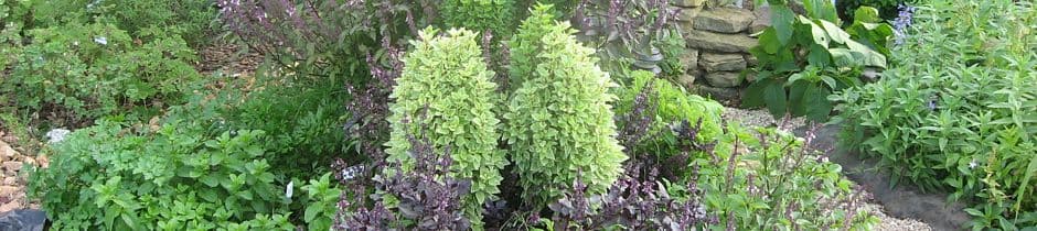 Red Barn Herb Farm