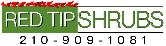 Red Tip Shrubs
