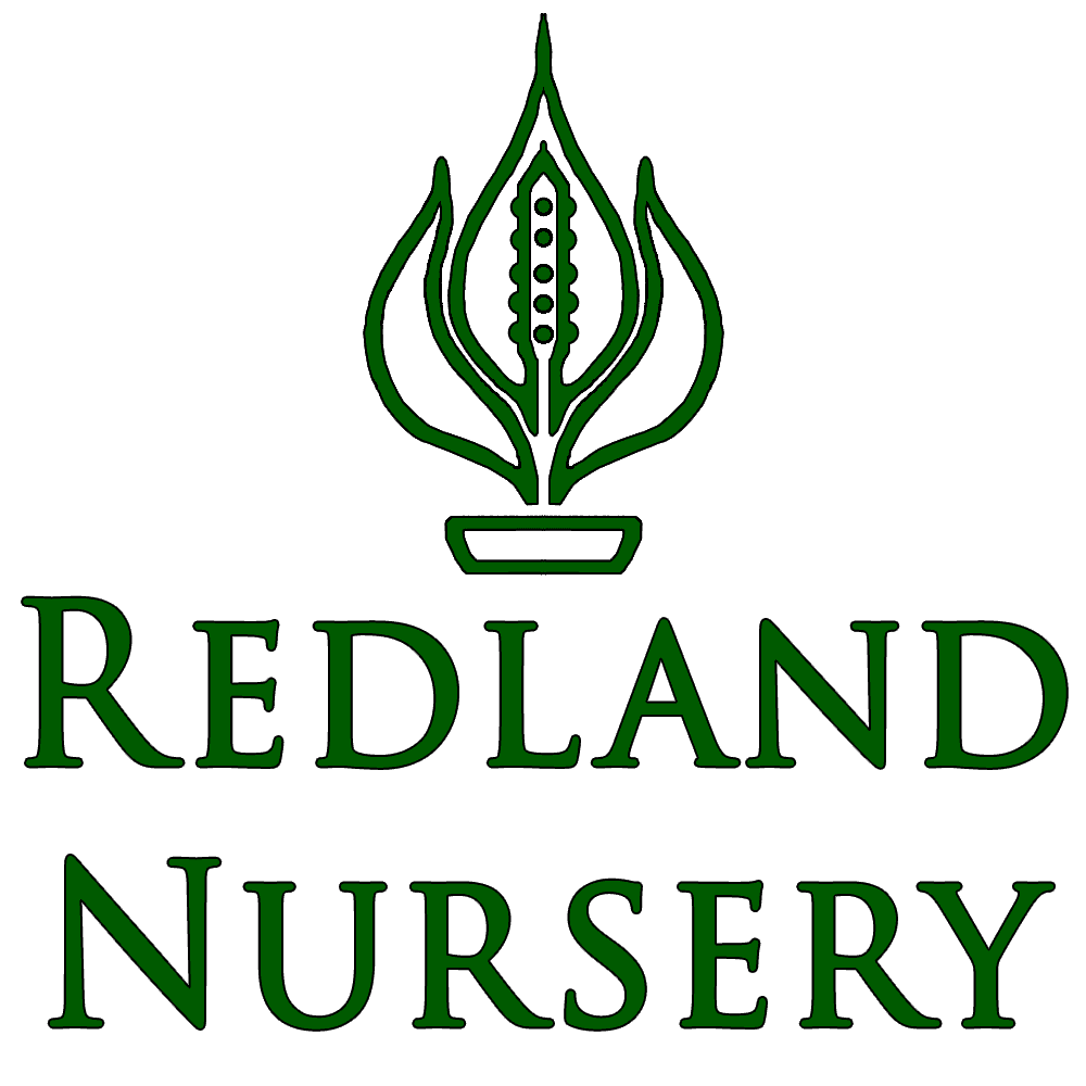 Redland Nursery, Inc.
