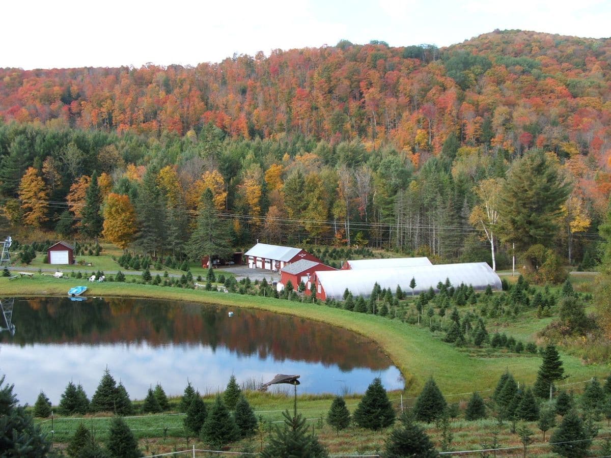Redrock Farm