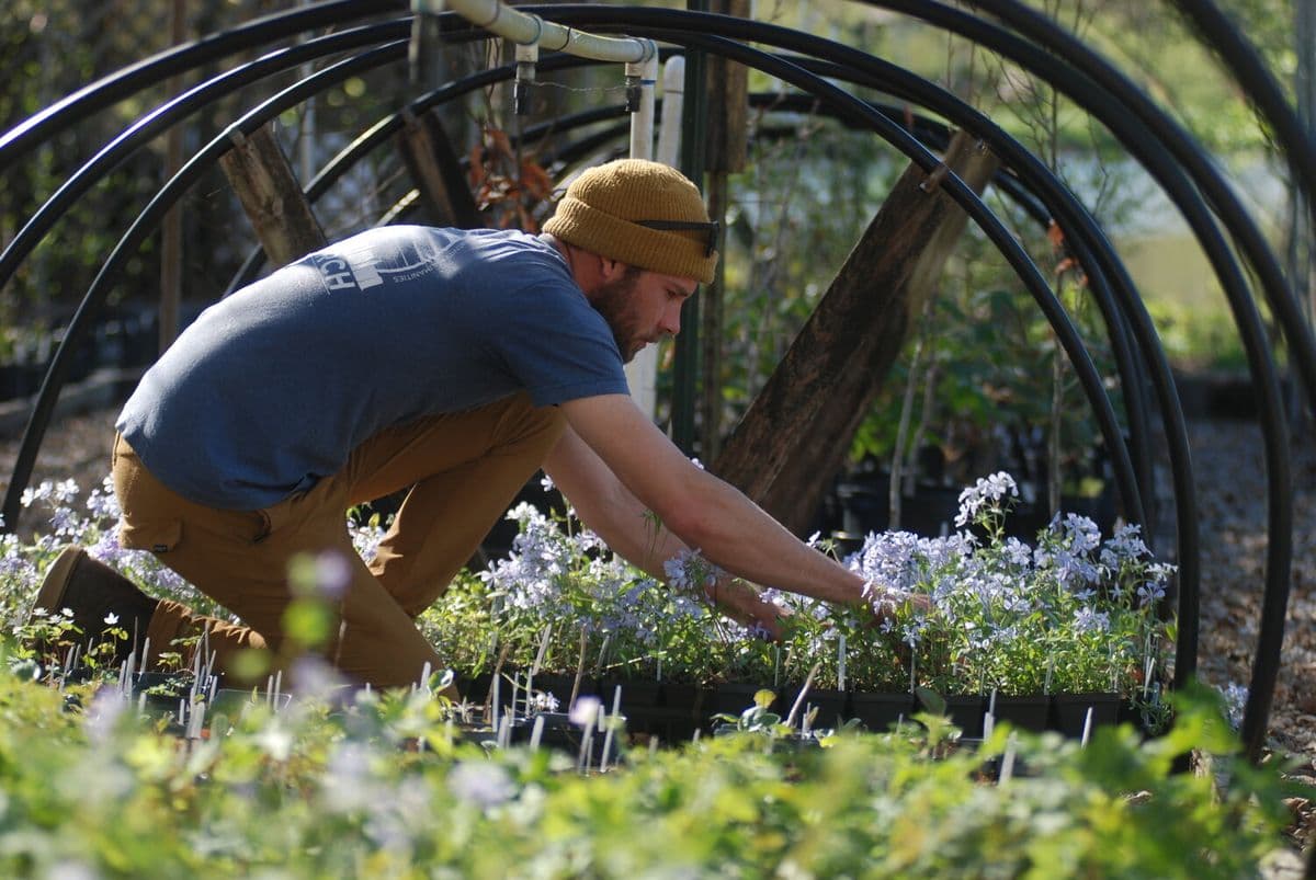 Reflection Riding Native Plant Nursery
