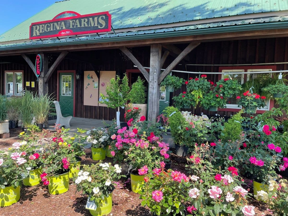 Regina Farms