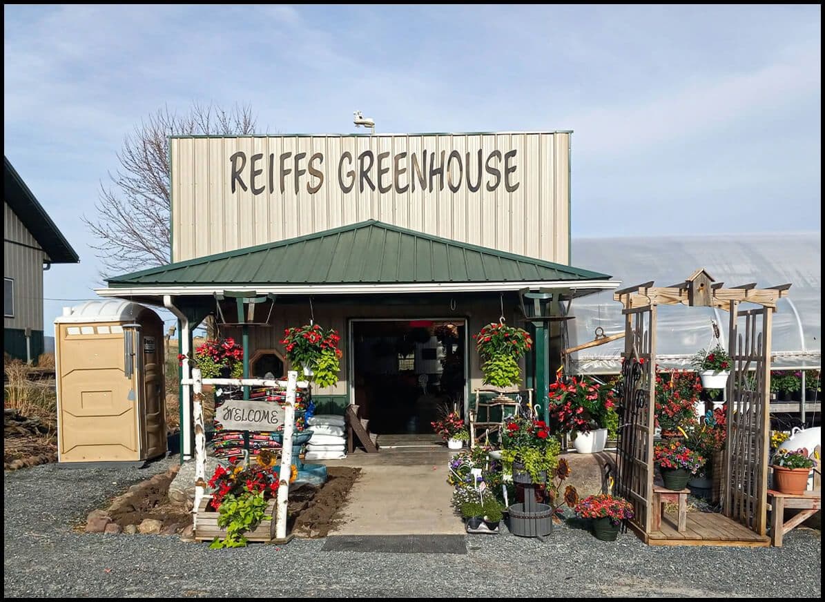 Reiffs Greenhouse