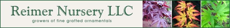 Reimer Nursery LLC