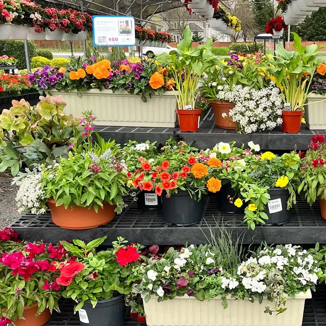 Reston Farm Garden Market