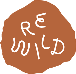 REWILD Ballston Quarter