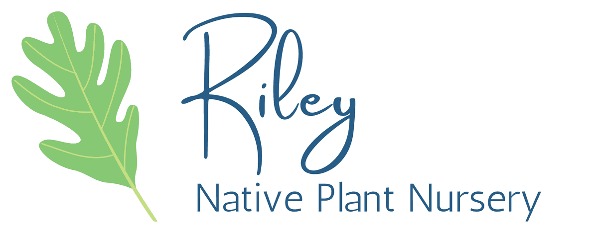 Riley Native Plant Nursery (Purchase Online or by Appointment Only)
