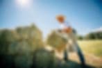 Rising Up Garden Center, Landscape Design & Florist