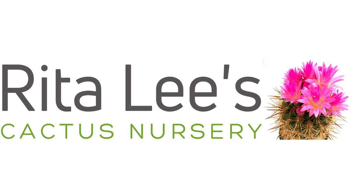 Rita Lees Nursery