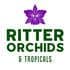 Ritter Orchids