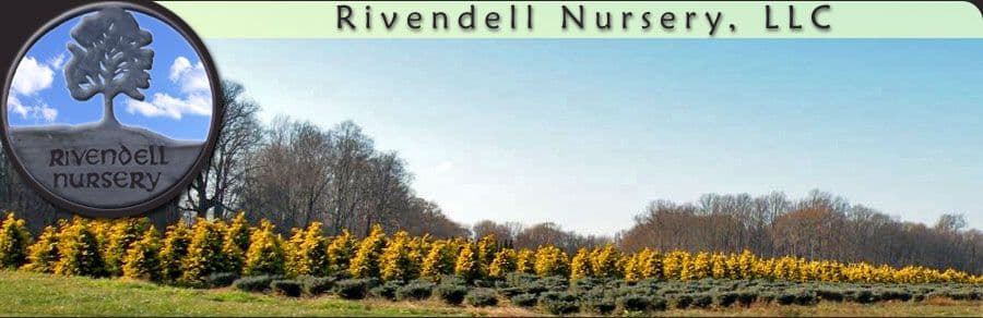 Rivendell Nursery