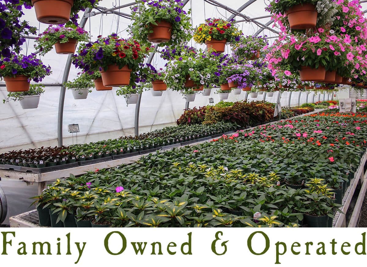 River Road Produce