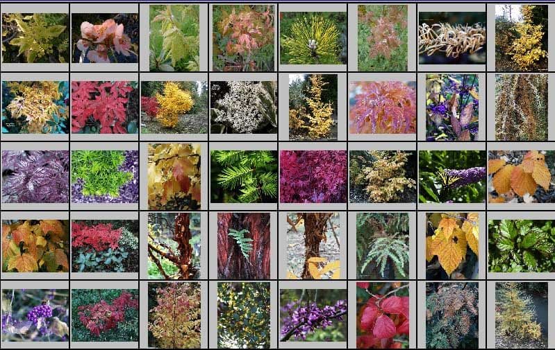 River Rock Nursery