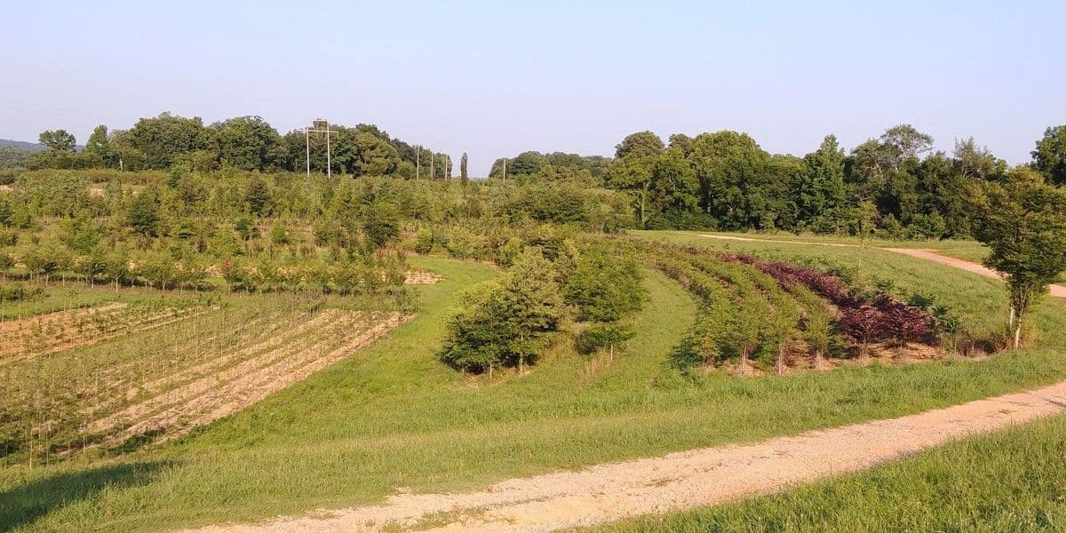 River Rock Nursery