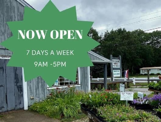 Riverside Farm Stand & Greenhouse