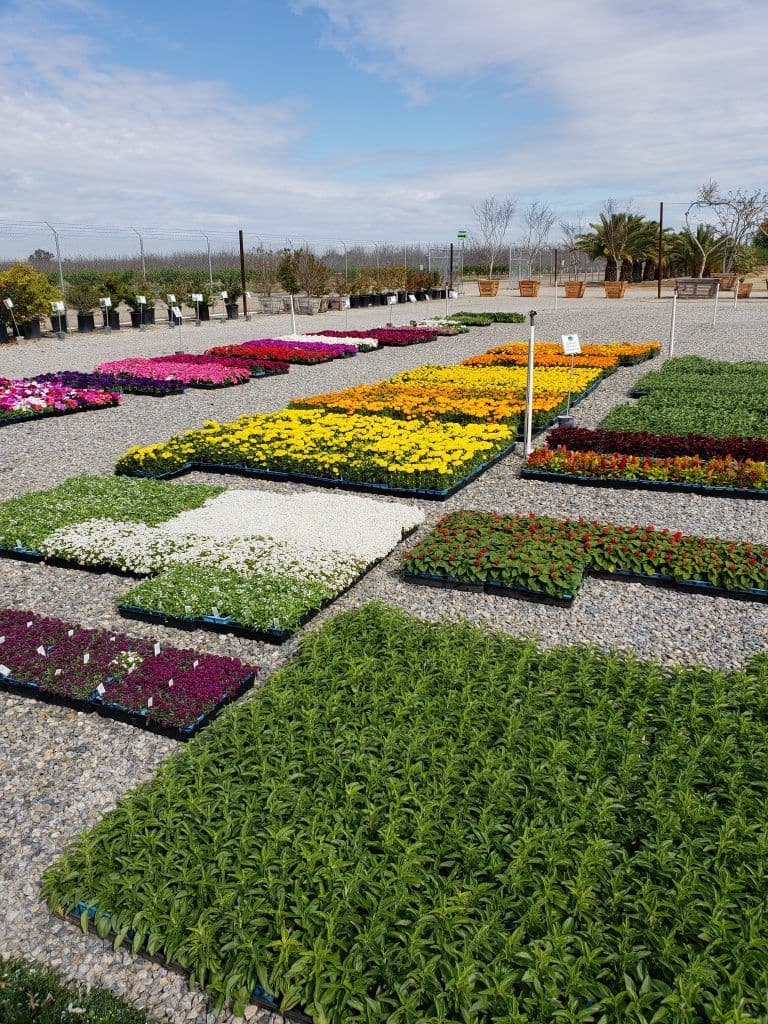 Riverside Nursery and Landscape