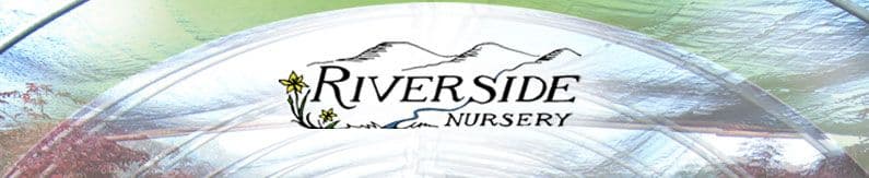 Riverside Nursery Inc