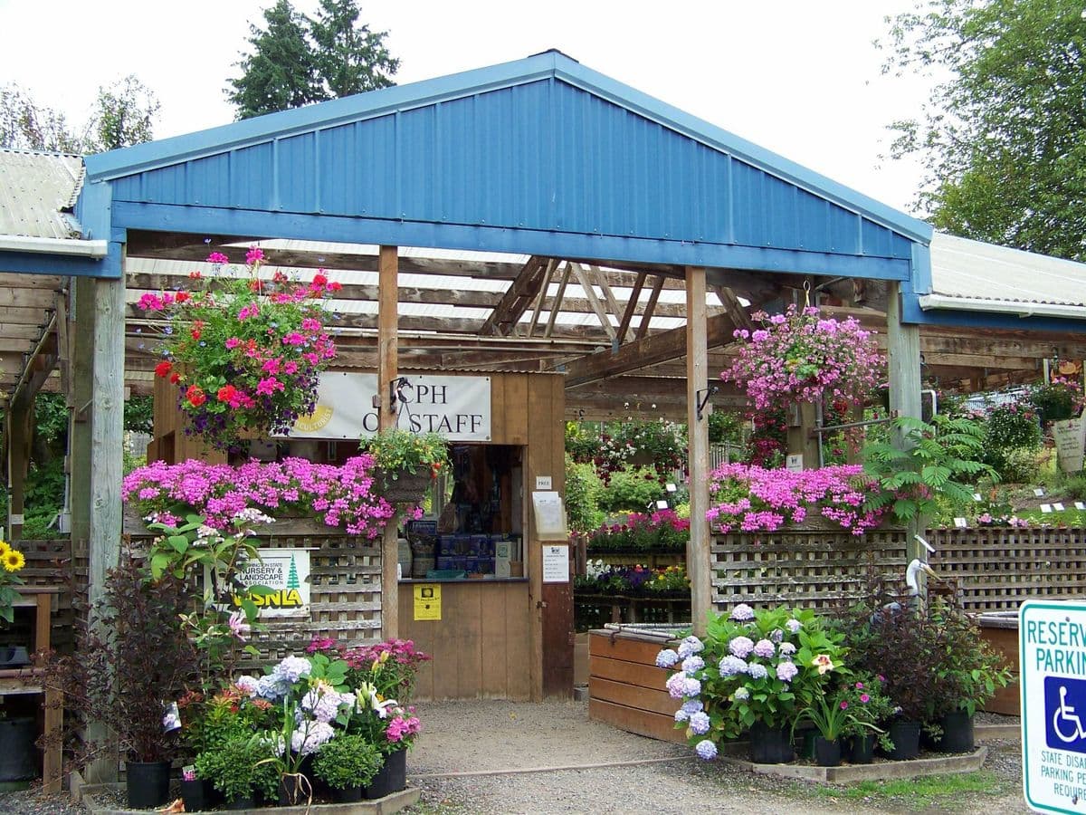 Roadhouse Nursery