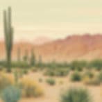 Roadrunner Tree Farm & Casa del Zorro Nursery