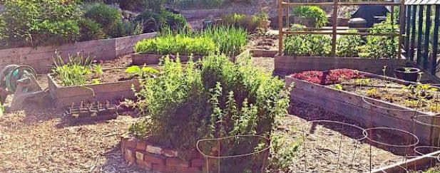 Robinwood Community Garden