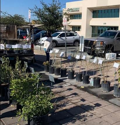 Robledo Vista Nursery