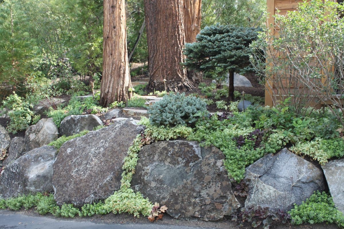 Rock & Rose Nursery + Landscape