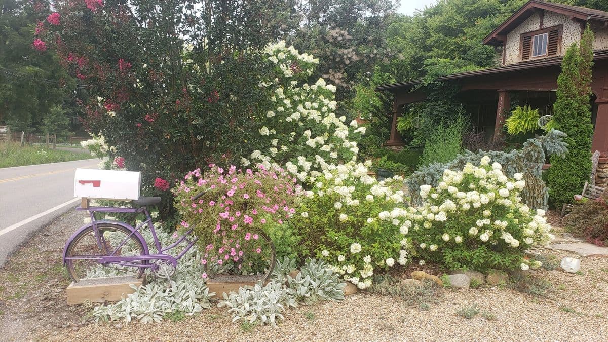 Rockhouse Gardens