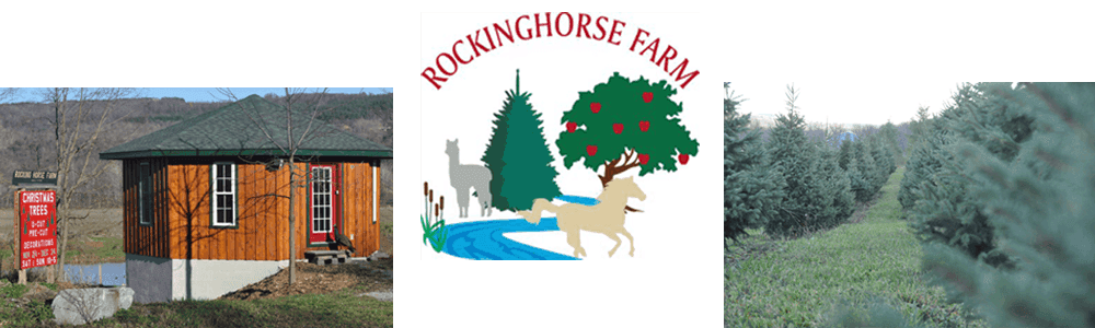 Rocking Horse Farm