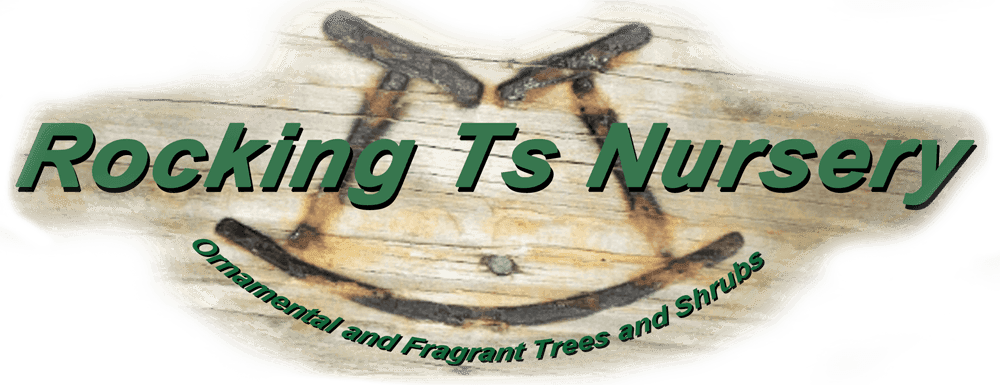 Rocking Ts Nursery