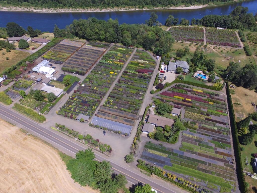 Rocky Mountain Nursery