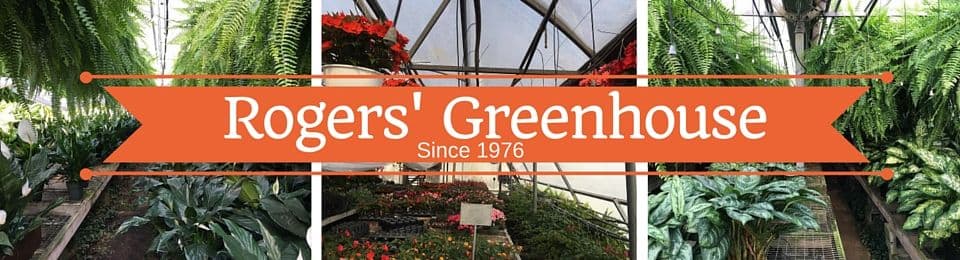 Rogers' Greenhouse