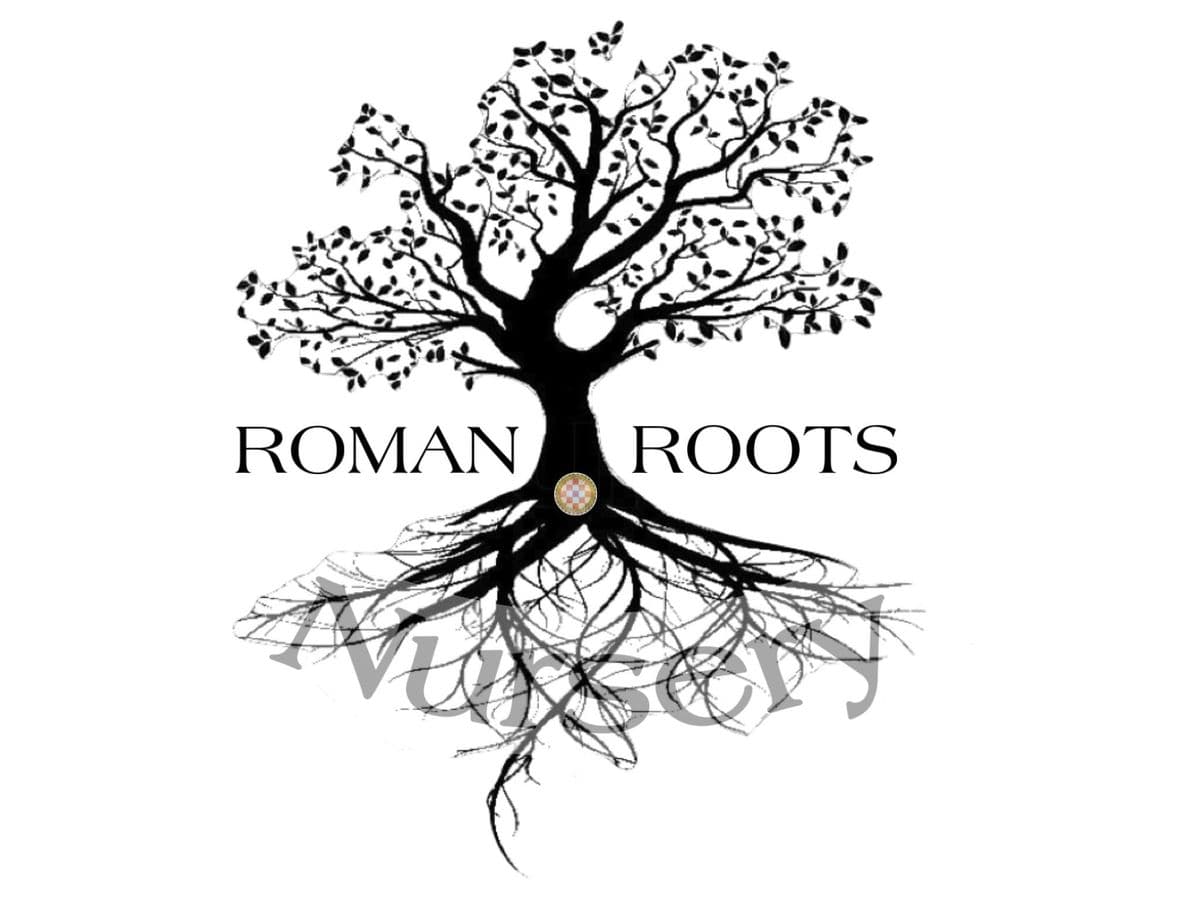 Roman Roots Nursery Website (Pick Up Location)