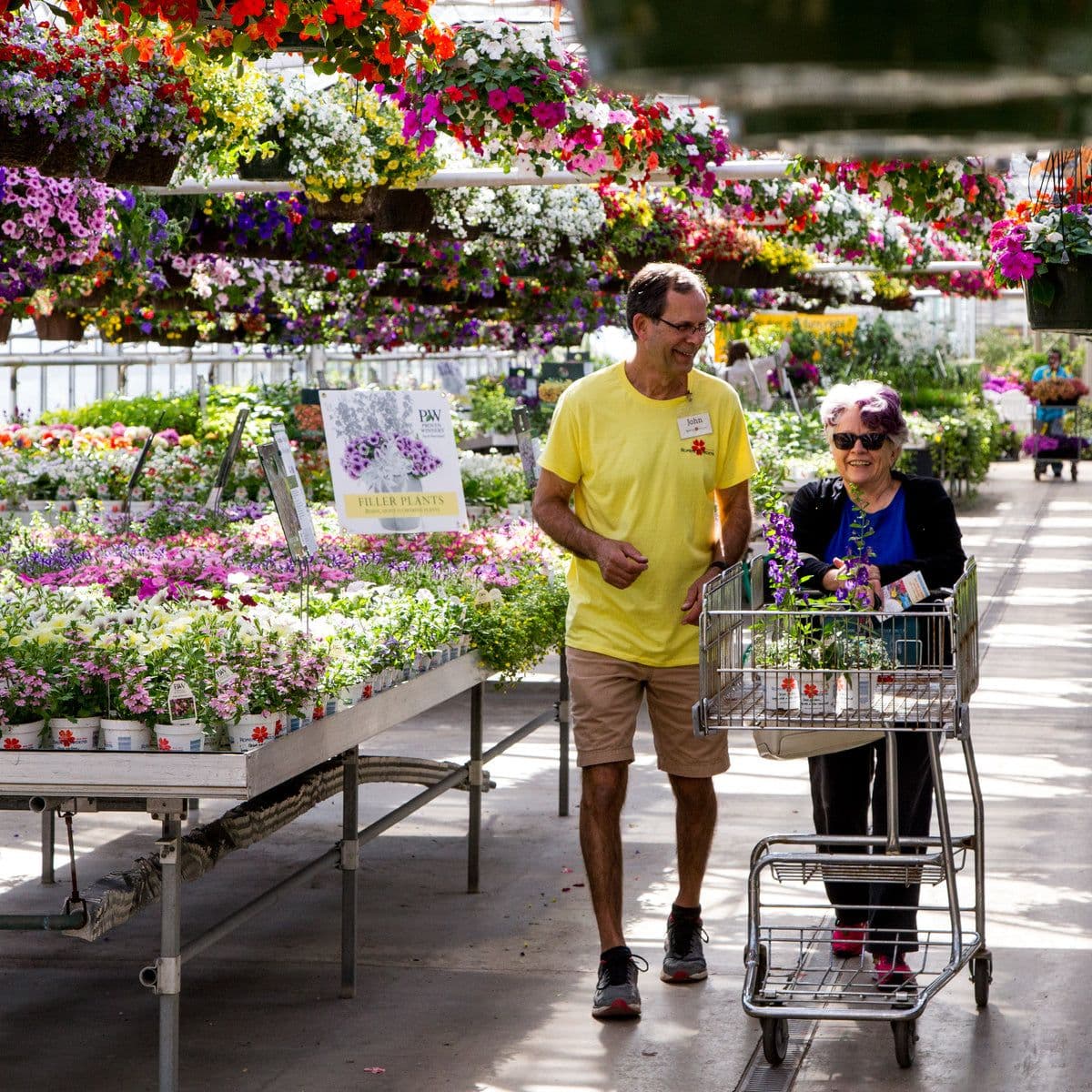 Romence Gardens & Greenhouses