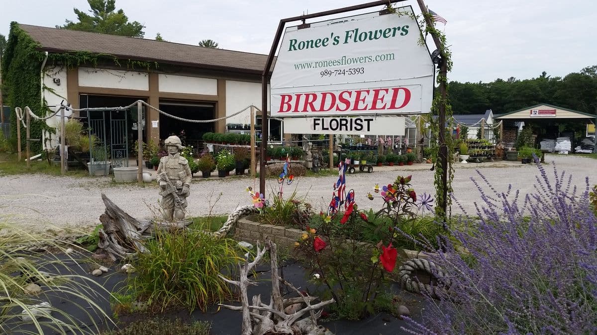 Ronees Flowers & Nursery