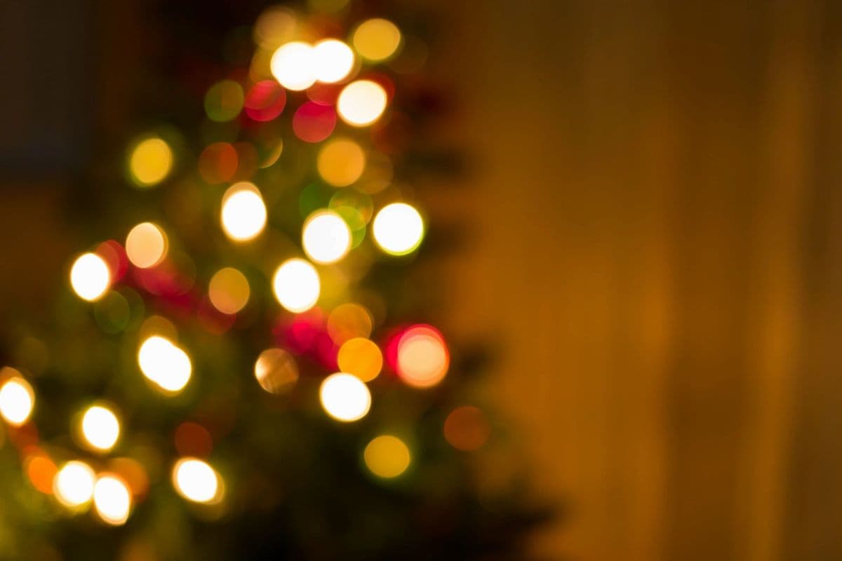 Ronnei Christmas Tree Farm