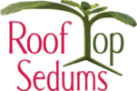 Roof Top Sedums LLC